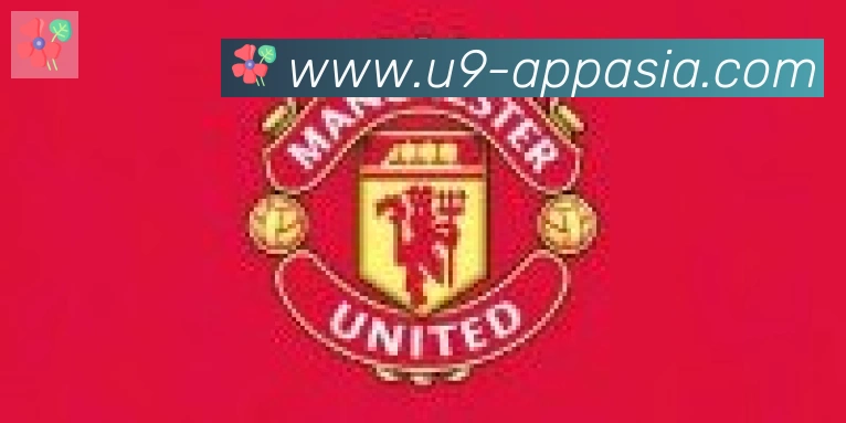 U9国际体育合作伙伴